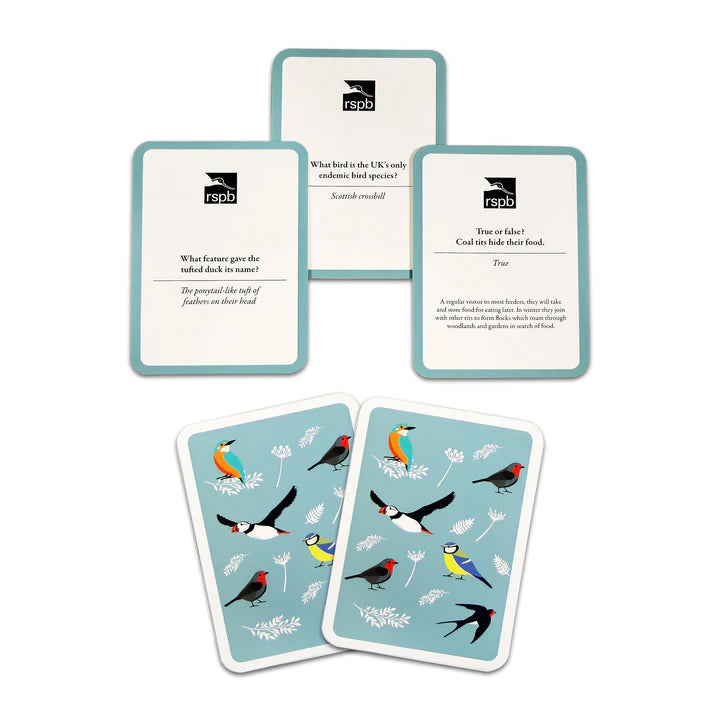 Image showing how each card looks, with a fact on one side and illustrations of birds on a pale blue background on the back.