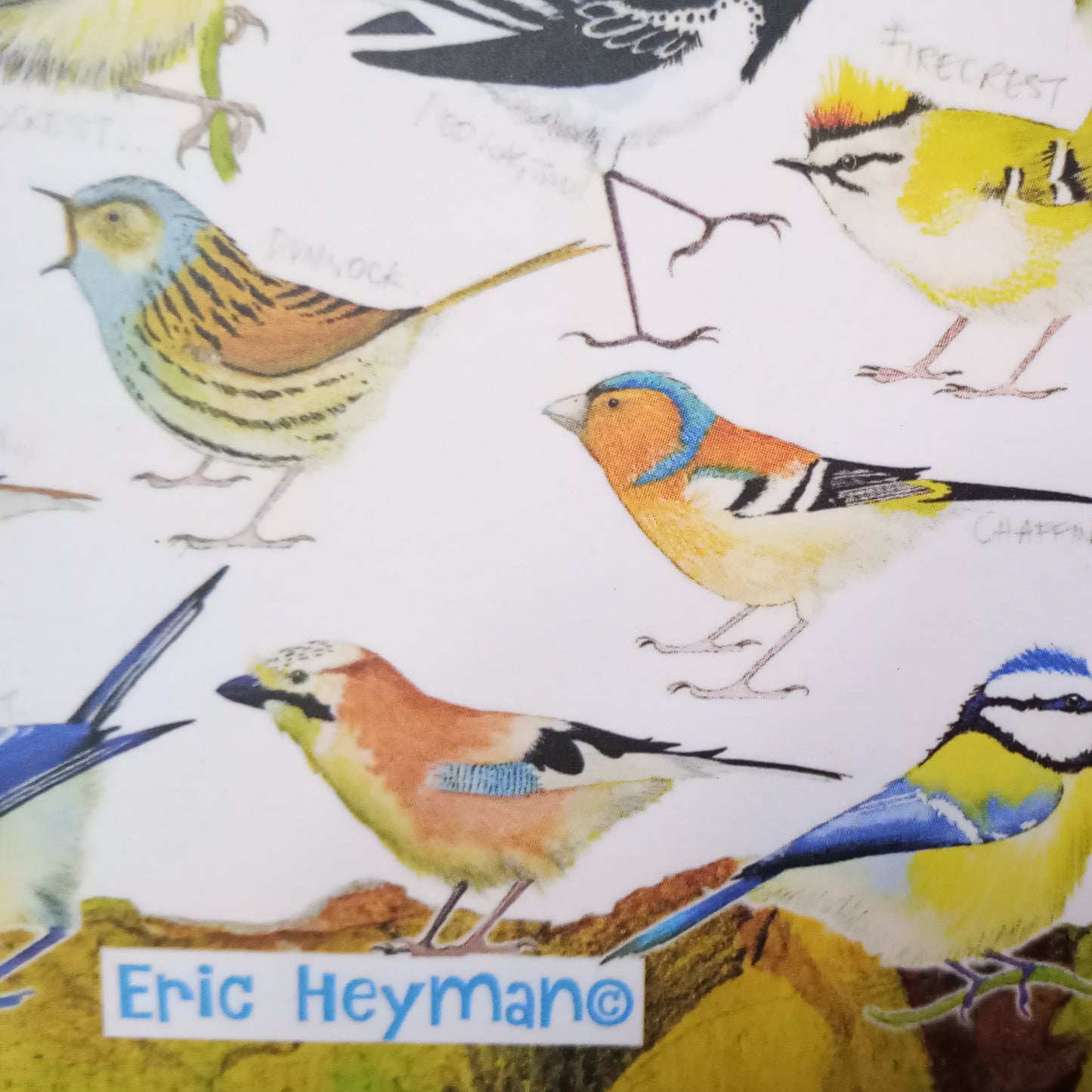 British Birds Jigsaw by Eric Heyman