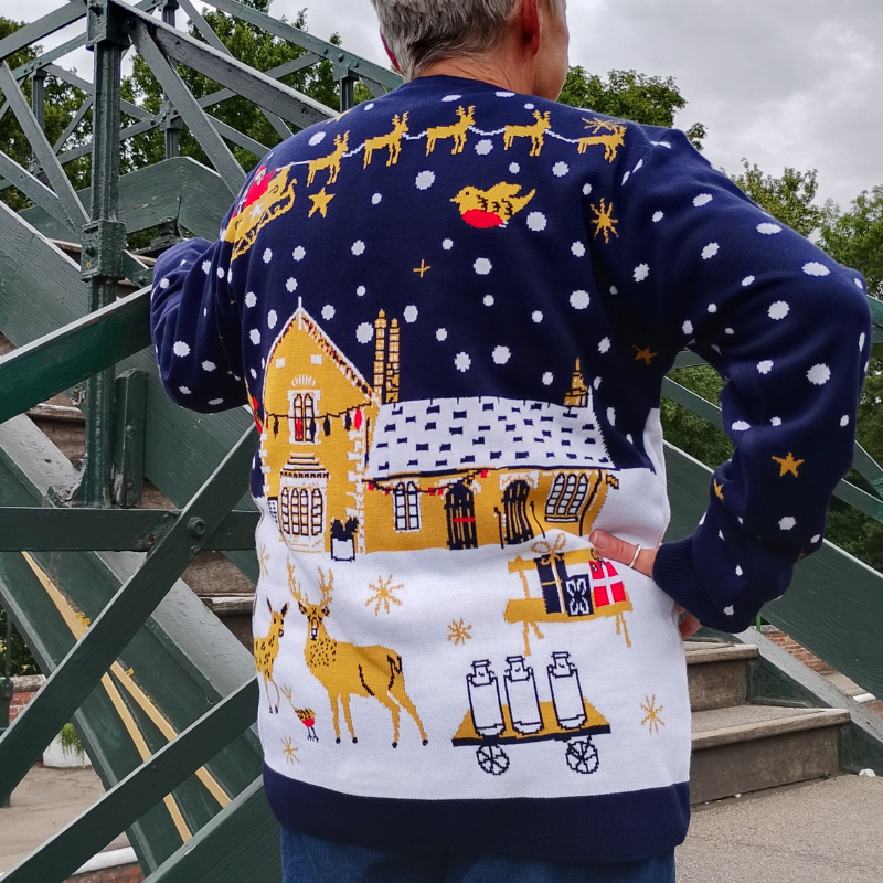 A person viewed from behind wearing a navy and white Christmas knitted jumper with a large festive station scene across the back, standing outdoors on a green metal bridge.
