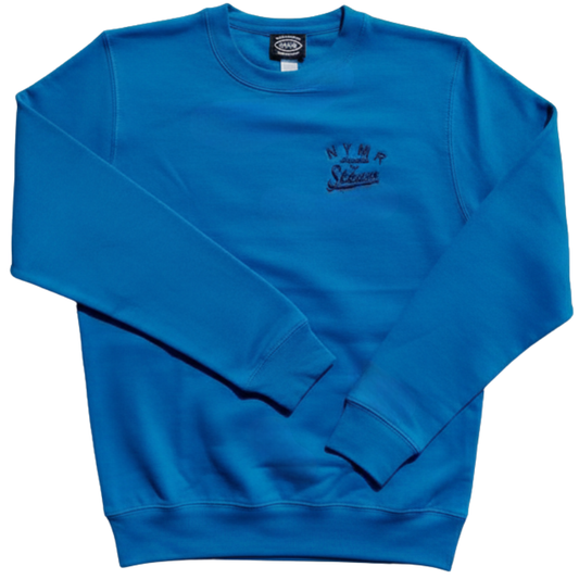 Sapphire blue sweatshirt with embroidered design in navy blue
