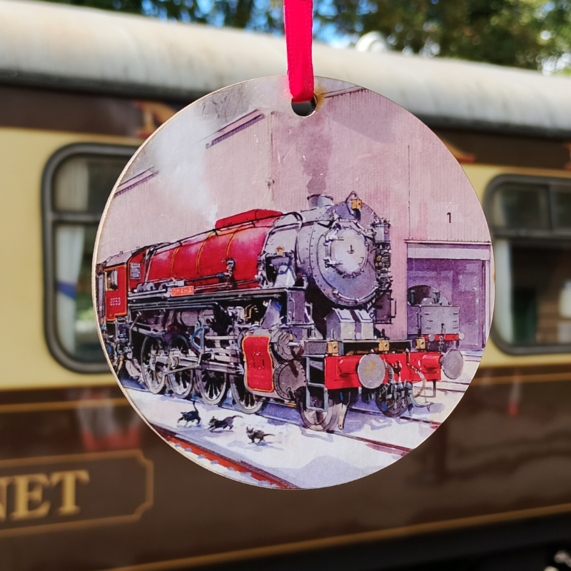 Close up of the tree decoration, hung with a red ribbon